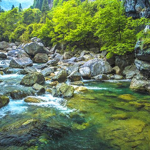 安徽牯牛降石台景区